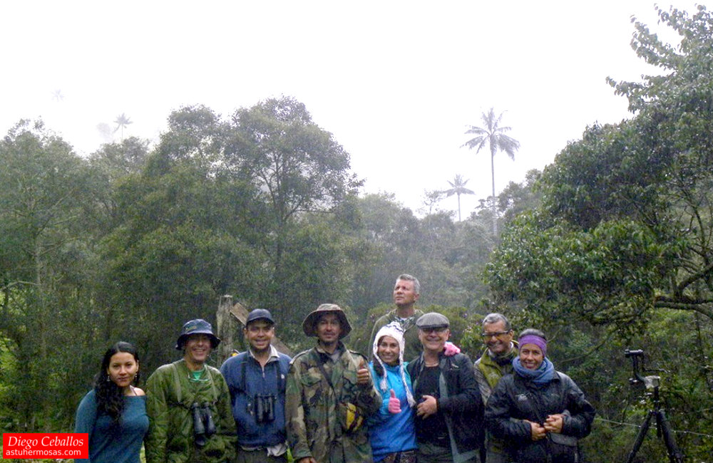 Grupo de avistadores de aves del Tolima visitando finca la Arabia